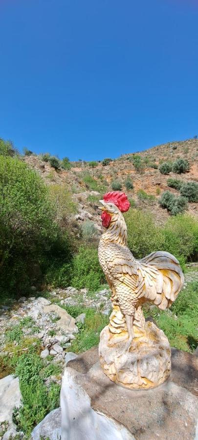 Molino Laroyaヴィラ エクステリア 写真